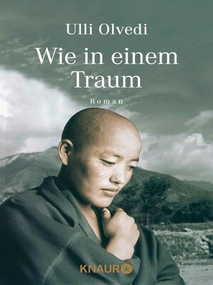 cover image of Wie in einem Traum